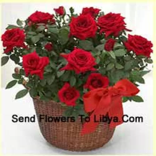 A Beautiful Arrangement Of 18 Red Roses With Seasonal Fillers