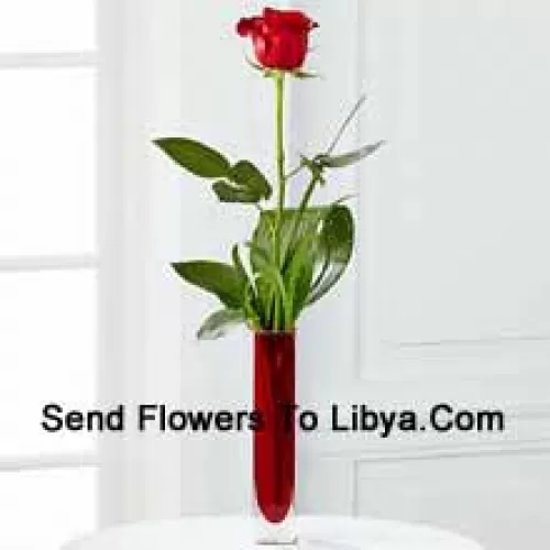 A Single Red Rose In A Red Test Tube Vase (We Reserve The Right To Substitute The Vase In Case Of Non-Availability. Limited Stock)