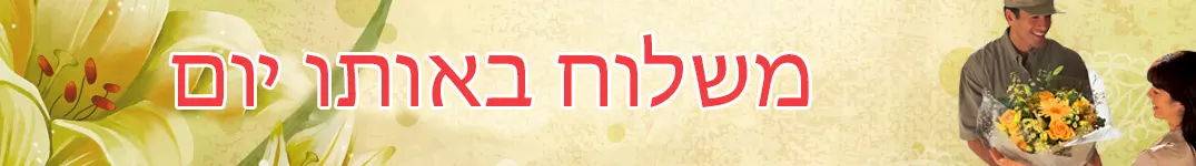 משלוח באותו היום